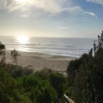 Absolute Beachfront  - NSW Mid North Coast thumb